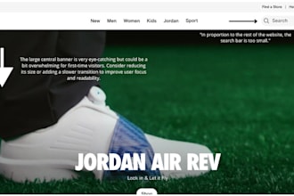 professionally review and improve your website
