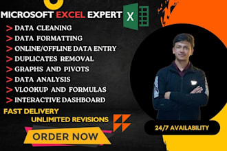 do data entry, clean, organize, create graphs and dashboard in excel