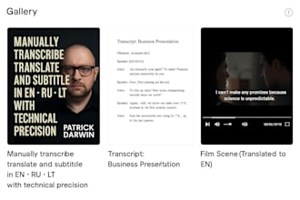 manually transcribe, translate and subtitle in en ru lt with technical precision