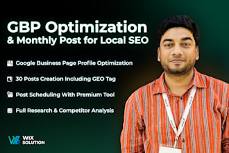 do gbp optimization and create optimized posts with GEO tag