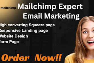 build responsive website landing page, squeeze page, blogpage on mailchimp
