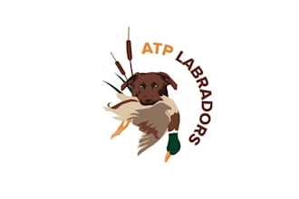 design a modern fishing and hunting logo for your brand