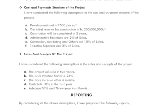 prepare feasibility plan for your new project