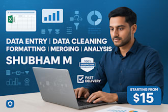 organize messy excel data by cleaning, merging, and formatting