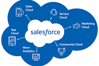 your salesforce agentforce expert, consultant, architect, admin and developer