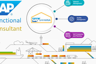 help with sap mm and pp tasks
