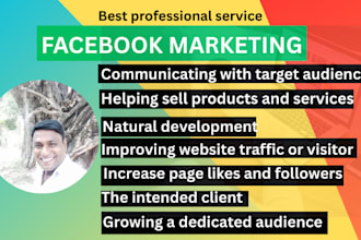 do organic facebook marketing for any company or organization in the USA
