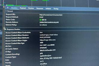 do API penetration test and analysing requests