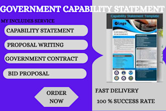 professionally design an effective and efficient government capability statement
