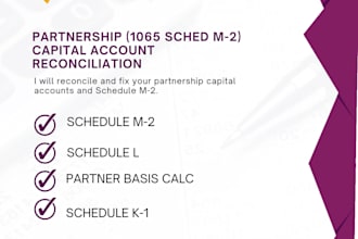 perform a partnership capital account reconciliation, schedule m2
