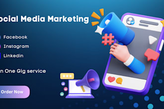 provide facebook, instagram, linkedin ads services