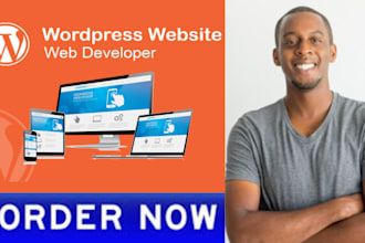 design and redesign custom wordpress website