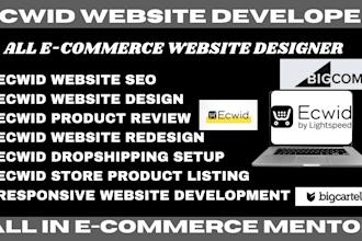 design bigcartel bigcommerce ecwid website store design print on demand store