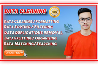 do fast and accurate excel data cleaning and formatting