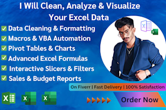 create excel dashboards with data cleaning and analysis
