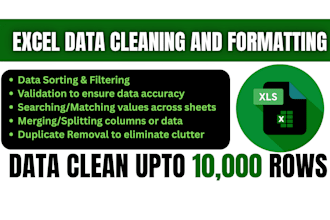 do ms excel data cleaning and formatting, merging, splitting, sorting in 24hrs