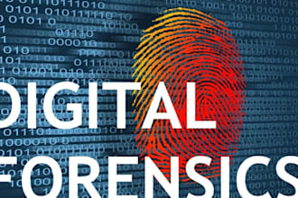 do digital forensics, and cyber crime investigations