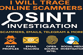 perform advanced osint investigation, footprinting and cyber profiling