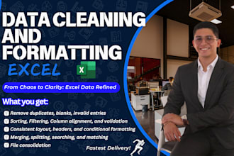 clean and format your excel data professionally