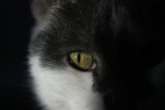 cast an unbreachable evil eye protection spell to shield your energy