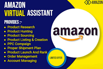 be your amazon fba private label assistant VA,PPC expert