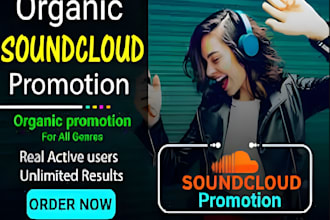 powerful music promotion to boost your streams