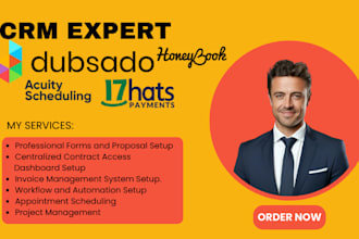 set up dubsado and honeybook crm account, 17hats, acuity scheduling expert