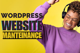 provide wordpress website maintenance, update, and support