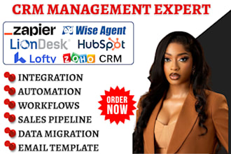 setup wise agent liondesk hubspot crm real estate marketing automation lofty