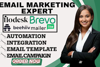 design flodesk brevo newsletter beehiiv bravo email template mailerlite campaign