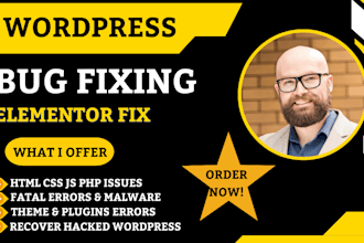 fix complex wordpress issues, fix wordpress errors,  bug fix and database errors