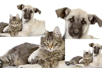 be your pet skin care ,pet food and supplement formulation chemist