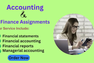 do financial accounting and finance assignments, financial statements, forecast