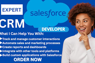setup,customize salesforce crm consultant apex crm integration salesforce admin