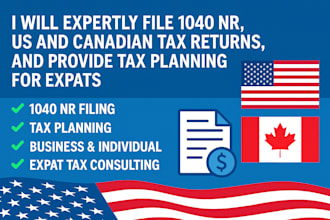 expertly file 1040 nr, US and canadian returns, and tax planning for expats