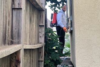 provide expert pest control consulting
