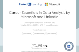do professional data analysis in excel python or power bi