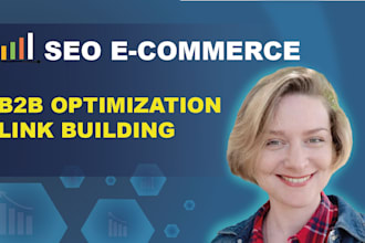 provide SEO optimization for ecommerce and b2b websites