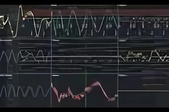 create your trading algorithm, bot, trading bot