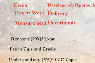 do any pmp related support