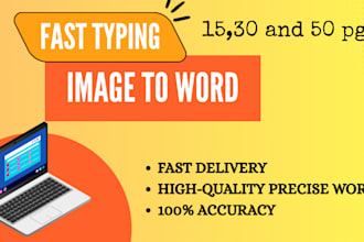 do fast typing, retype scanned documents into excel or word