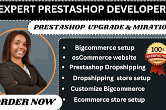 customization dropshipping bigcommerce oscommerce prestashop website store setup