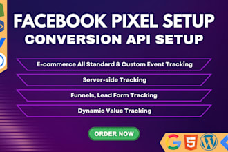 setup meta pixel conversion API catalogue shopify server side tracking via GTM