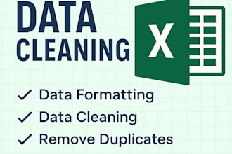 do accurate data entry, excel, data cleaning and formatting