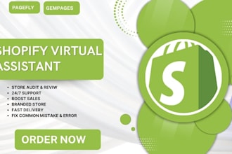 audit shopify dropshipping store shopify marketing manager and virtual assistant