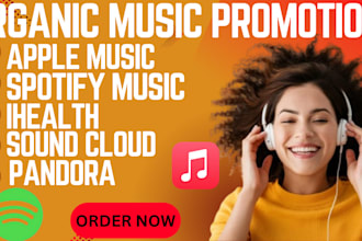 create ads to promote your spotify music, single and album