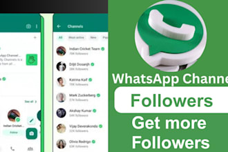 promote whatsapp channel and increase the channel followers whatsapp ads