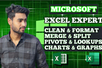 clean, format, merge, split excel data