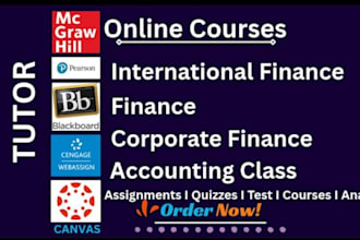 tutor in international finance, finance, corporate finance, accounting class