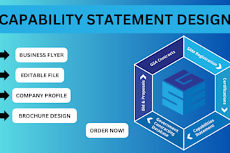 design government capability statement ,capability statement
